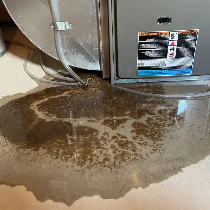 Pipe Burst and Leak Restoration in Wetzel County, WV
