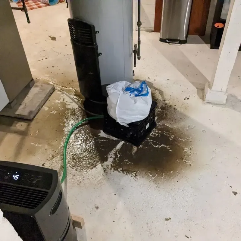 Sewage Backup Cleanup Service in Wetzel County, WV